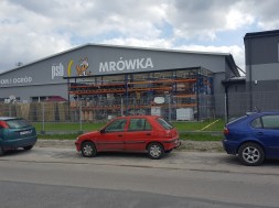 Mrowka_Opole Lubelskie_20160422_100547