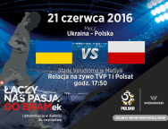 21_czer_UKRvsPL_EURO_2016_WISNIOWSKI_fb