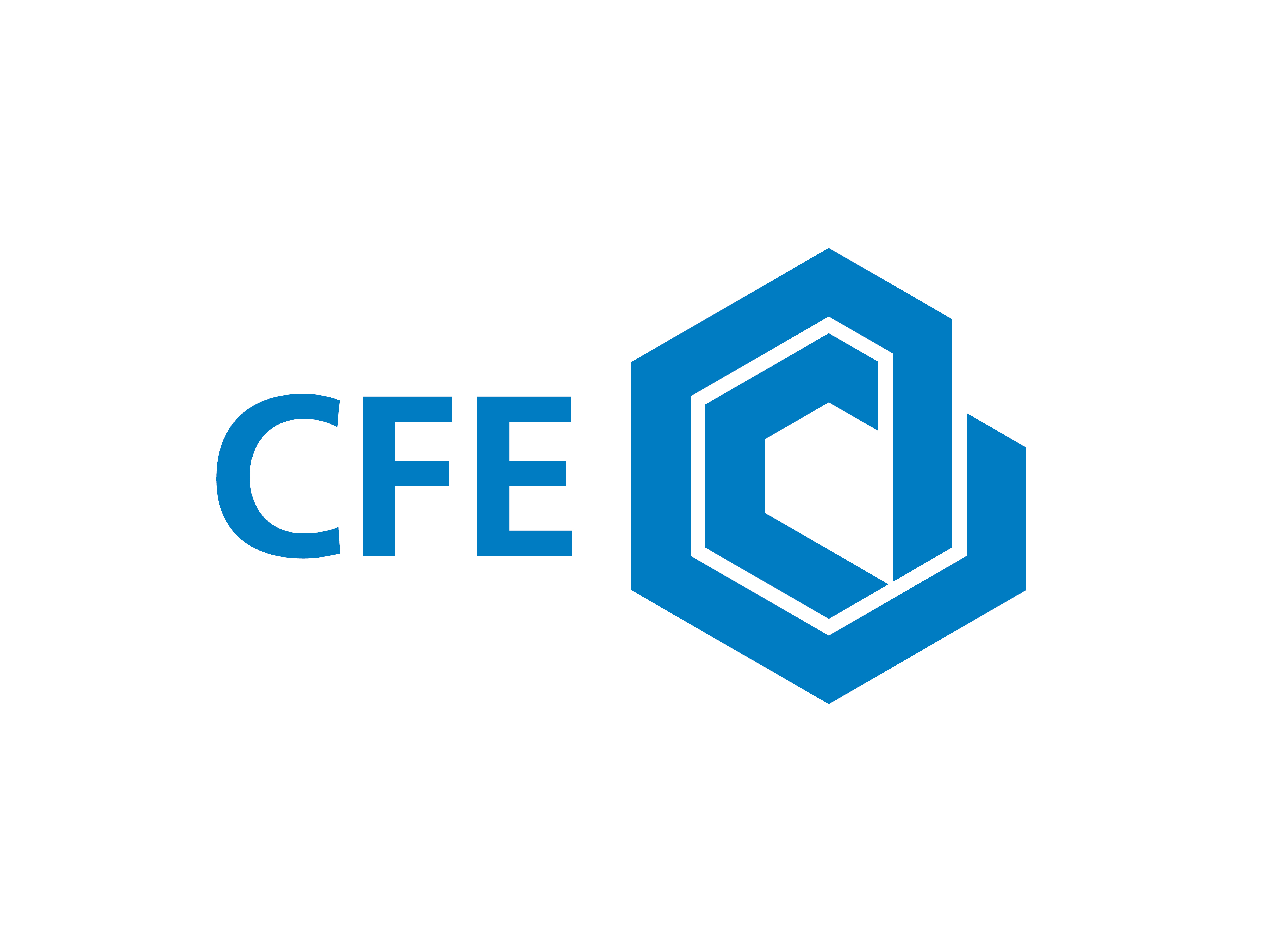 CFE POLSKA SP. Z O. O.