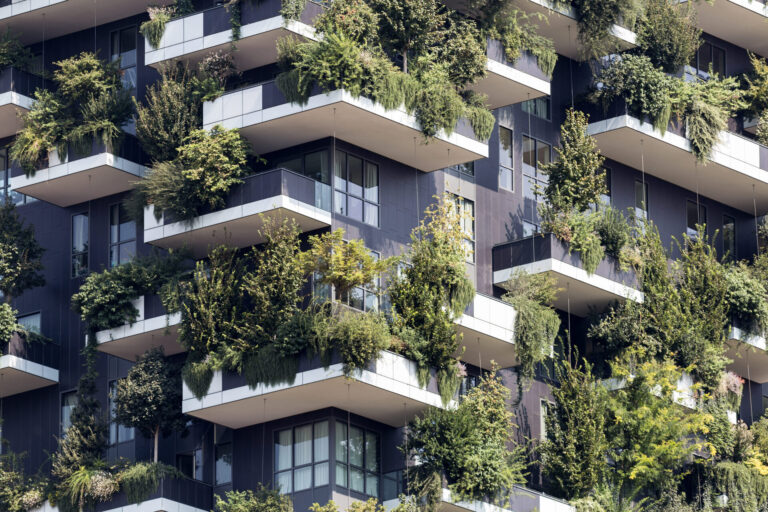 BIOPHILIC DESIGN