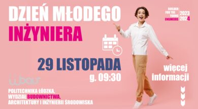 DMI PŁ 29.11 www