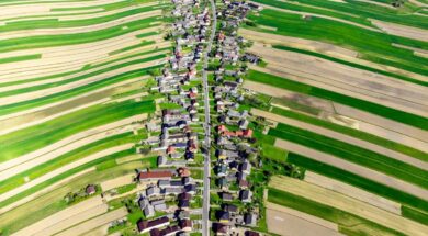 foto-dawid-zawila